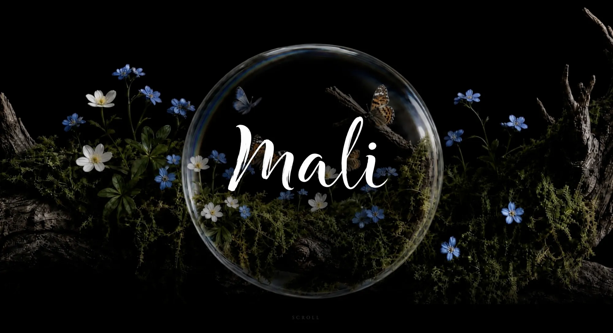 Mali website
